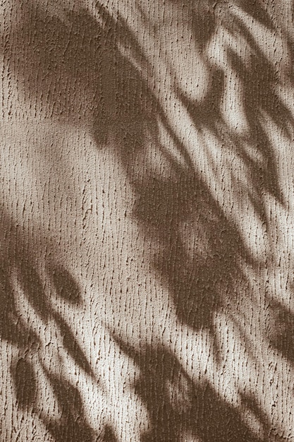 Struttura astratta del fondo della foglia delle ombre leggere del sole sul muro di cemento beige neutro