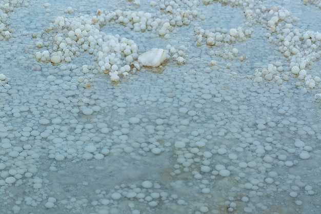 Struttura chiara del fondo del Mar Morto Le pietre sono ricoperte da una crosta di sale sulle rive del Mar Morto Spiaggia di Ein Bokek Israele La superficie dell'acqua salata del mare sulla riva