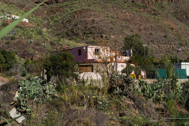 Struttura costruita da alberi e piante contro il cielo