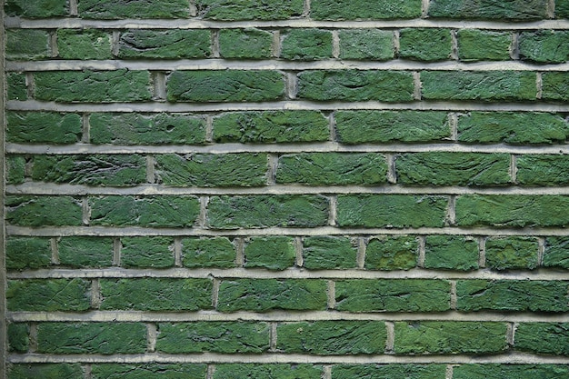 Struttura del fondo del muro di mattoni verde del grunge