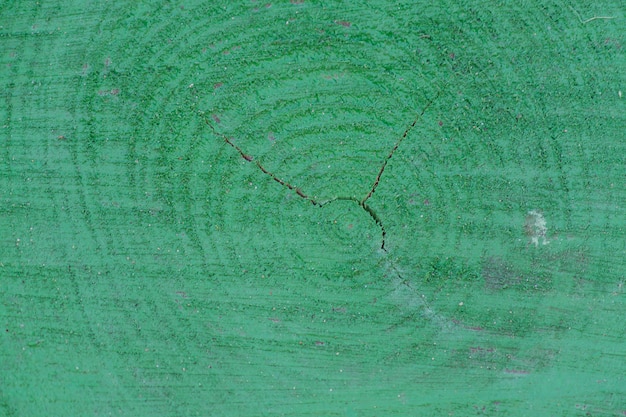 Struttura del fondo del tronco di albero dipinta verde