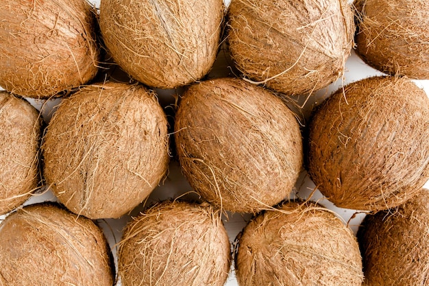 Struttura del modello con noci di cocco su sfondo bianco sfondo astratto tropicale vista dall'alto piatta