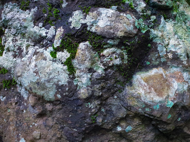 struttura del muro di pietra nel fiume