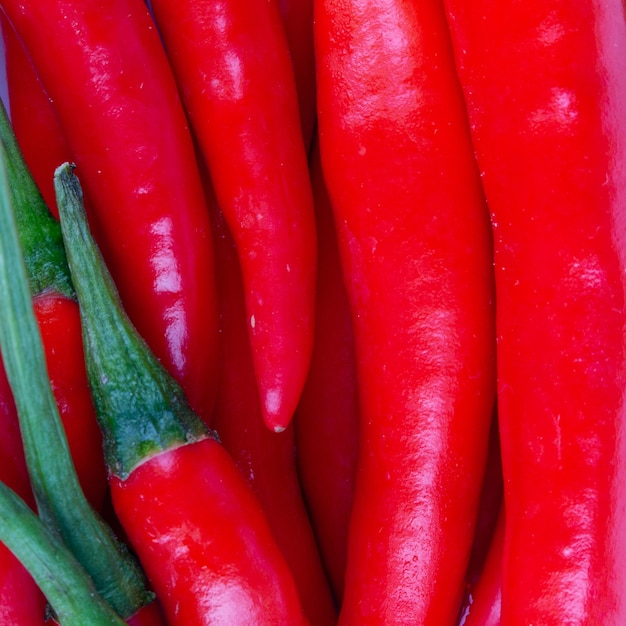 Struttura del primo piano del fondo del mucchio del peperone rosso piccante