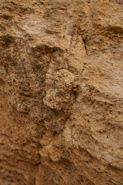 Struttura del primo piano della roccia e della terra delle coperture