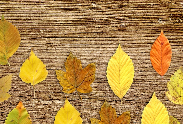 Struttura del primo piano di legno