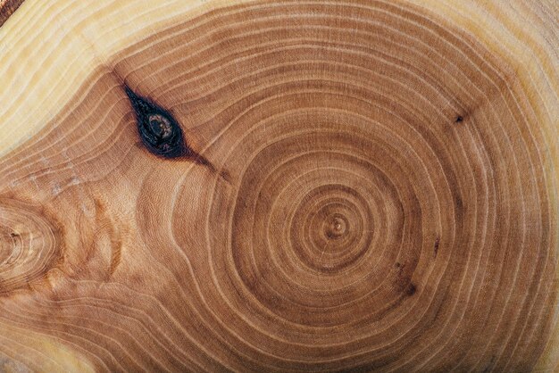 Struttura della lastra di legno di frassino con sfondo di anelli annuali o carta da parati