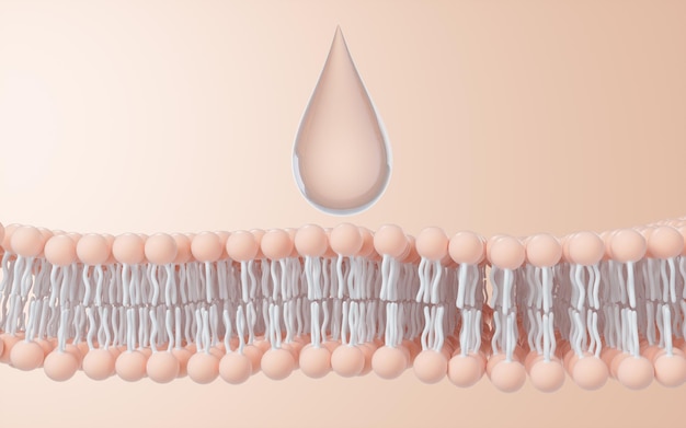Struttura della membrana cellulare sullo sfondo rendering 3D disegno digitale