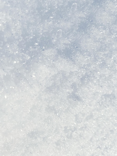 Struttura della neve nella vista del primo piano del campo