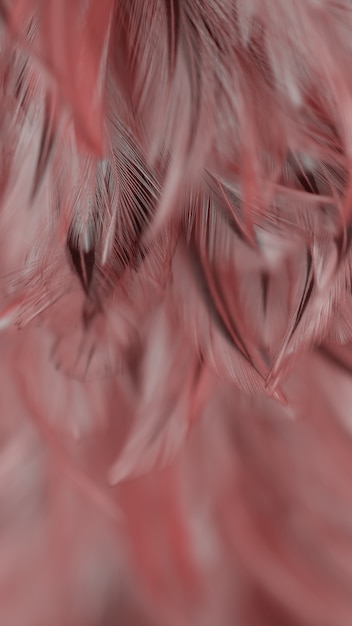 Struttura della piuma dei polli dell&#39;uccello della sfuocatura per fondo, fantasia, colore astratto e morbido di progettazione di arte.