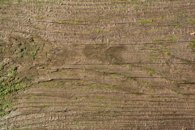 Struttura della superficie di legno molto vecchia