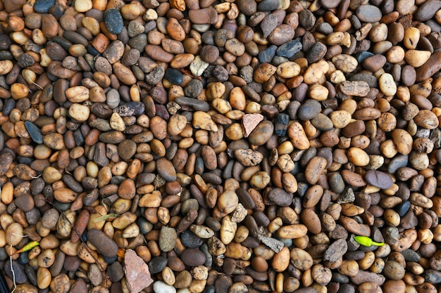 Struttura di bei ciottoli di mare colorati rotondi asciutti sul primo piano del primo piano di Pebble Beach