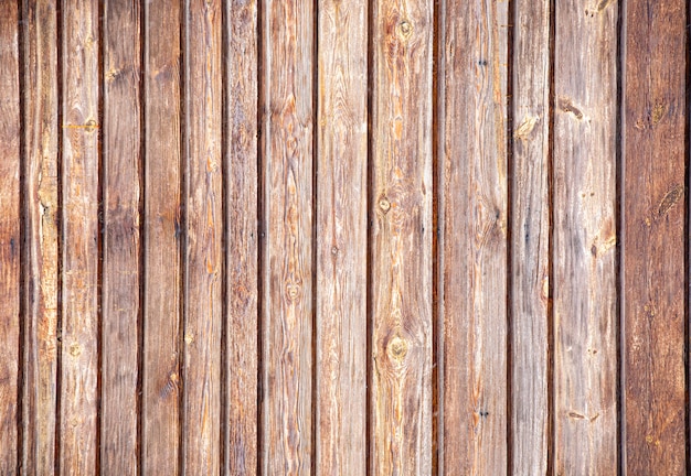 Struttura di legno arancio, bordi del pino, struttura o fondo.