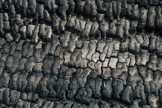 Struttura di legno bruciato, carboni. Spazio per il testo.