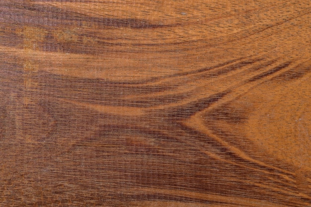 struttura di legno dell&#39;albero