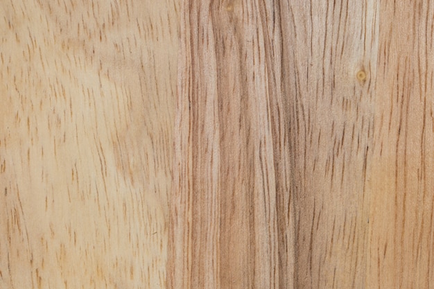 struttura di legno dell&#39;albero