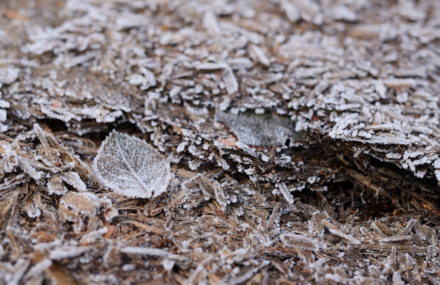 Struttura di legno nella brina. Inverno stagionale.