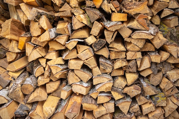Struttura di legno ordinatamente disposta grande catasta di legna