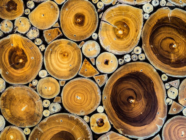 Struttura di legno senza cuciture del tronco di albero tagliato.