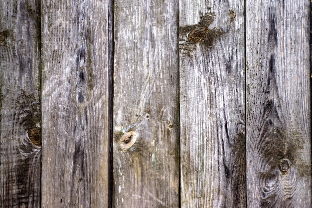 Struttura di legno. sfondo vecchi pannelli