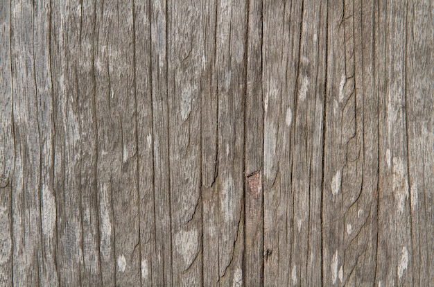 Struttura di legno