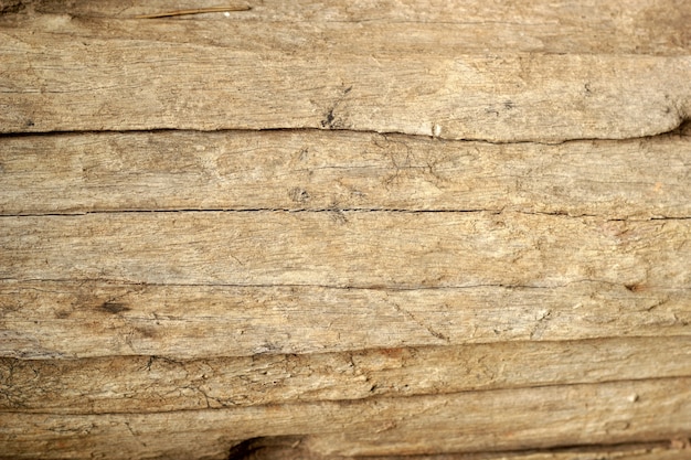 Struttura di legno