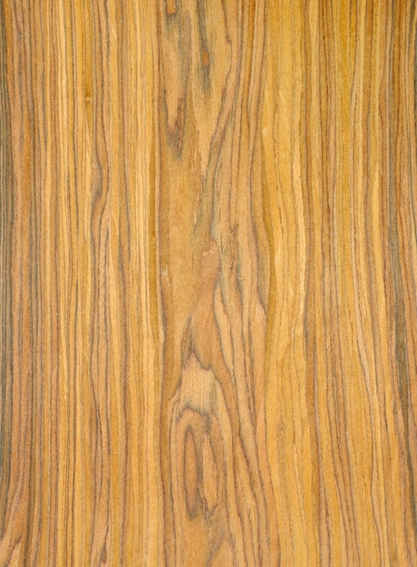 struttura di legno