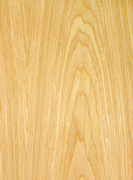 struttura di legno