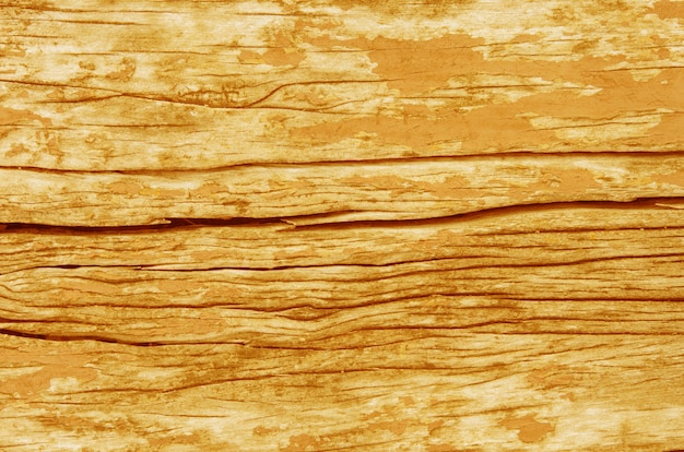 Struttura di legno