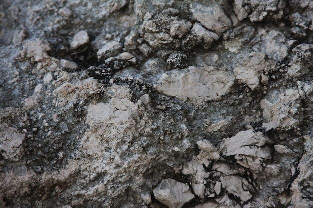 Struttura di lerciume del fondo di pietra grigia