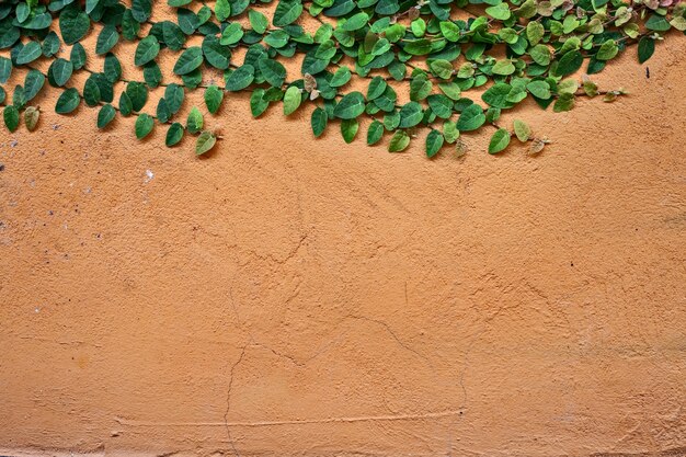 Struttura di muro di mattoni