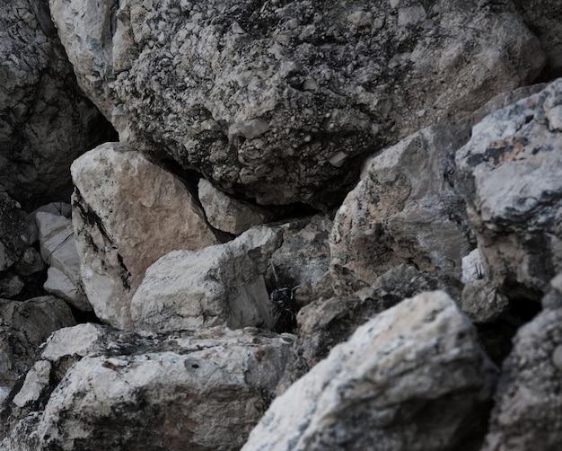 Struttura di pietra, superficie della natura