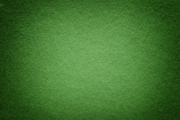 Struttura di vecchio fondo del Libro Verde, primo piano. Struttura di cartone denso ulivo chiaro.