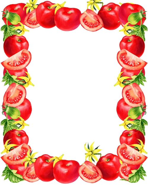 Struttura disegnata a mano dell'illustrazione dei pomodori dell'acquerello con i fiori delle foglie dei pomodori spase per testo con r