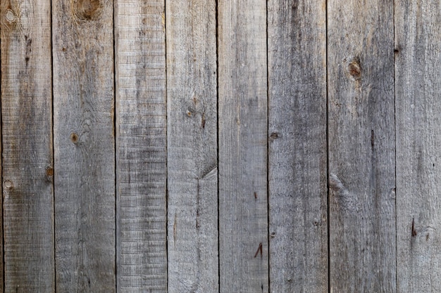 Struttura e fondo della superficie della parete delle plance di legno asciutte grigie