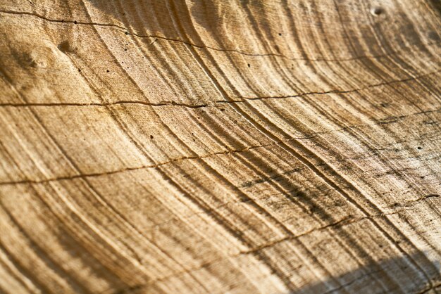 Struttura e priorità bassa dell&#39;albero