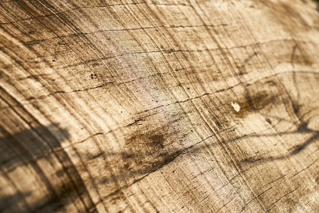 Struttura e priorità bassa dell&#39;albero