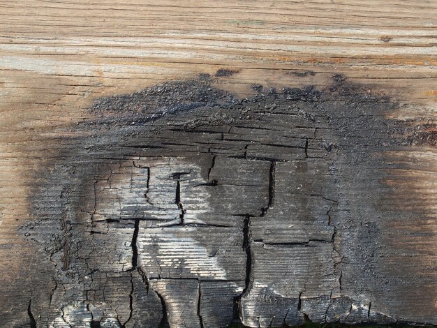 Struttura in legno bruciato