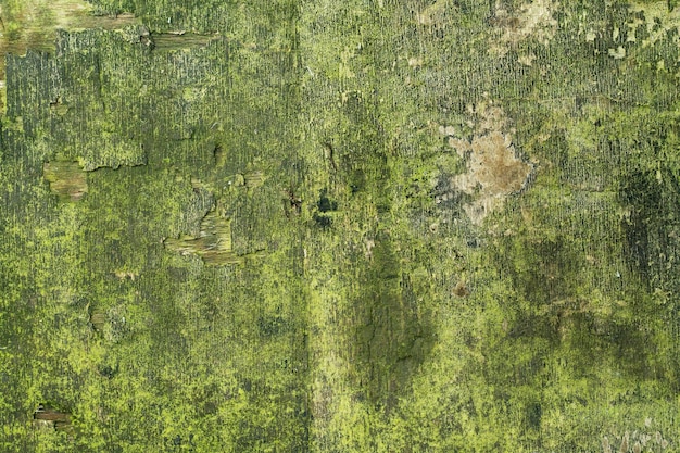 Struttura in legno, con aspetto invecchiato, vecchio e verde