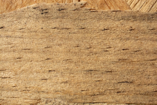 Struttura in legno con motivi naturali come sfondo