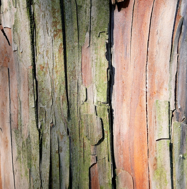 Struttura in legno naturale