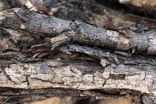 Struttura in legno rustico, vuoto Sfondo in legno morbido