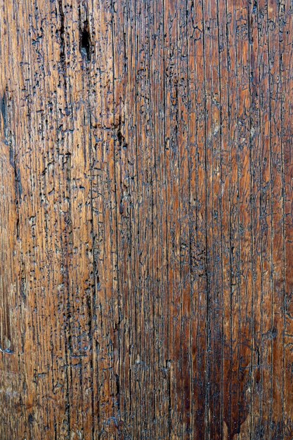 Struttura in legno rustico