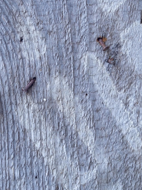 Struttura in legno Vecchio fondo di legno della parete della plancia per progettazione e decorazione