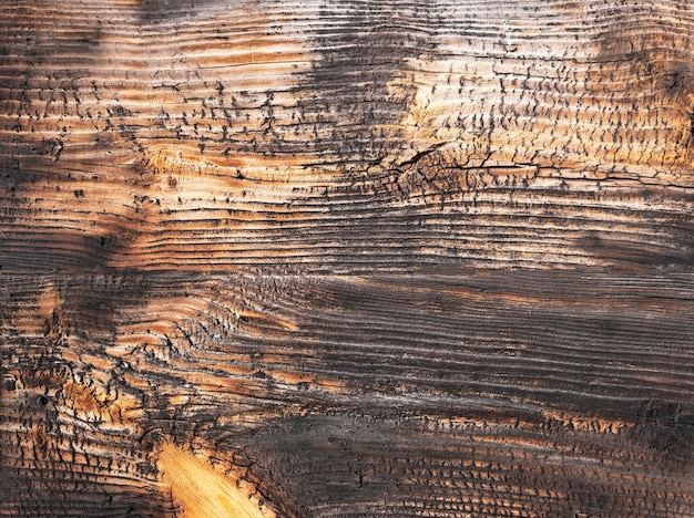 Struttura in legno vecchio naturale. Primo piano della superficie di legno. Fondo di legno astratto.