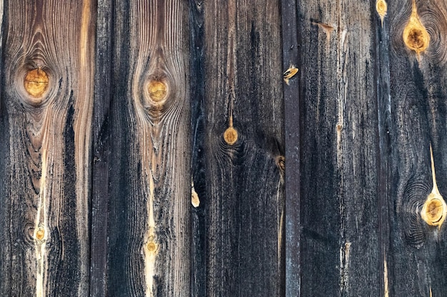 Struttura marrone naturale piallata di legno naturale scuro con nodi Superficie del tavolo da tiro Spazio per la copia