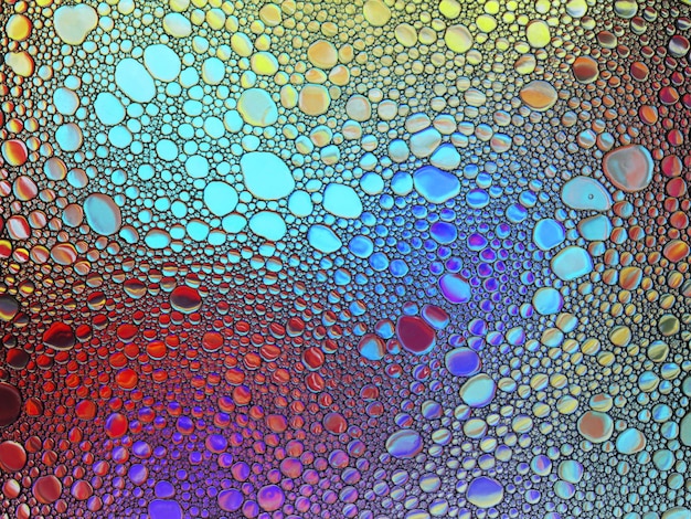 Struttura mista delle bolle di sapone dell'olio dell'acqua multicolori astratte
