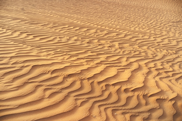 Struttura ondulata della sabbia nel deserto di dubai si chiuda