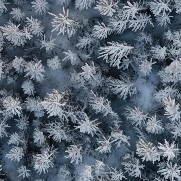 Struttura senza giunte della foresta invernale