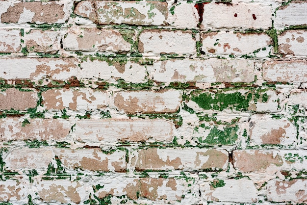 Struttura stagionata di vecchio fondo verde e bianco macchiato del muro di mattoni